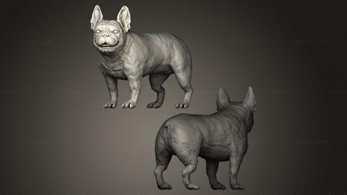 Animal figurines (Bulldog, STKJ_0011) 3D models for cnc